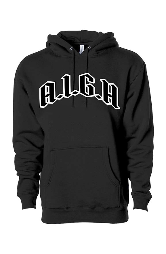 A.I.G.H heavyweight pullover hoodie (B)